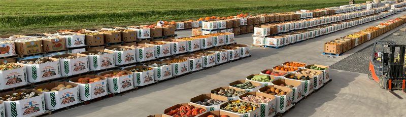 LF20210925-Pumpkin2-Auction.jpg